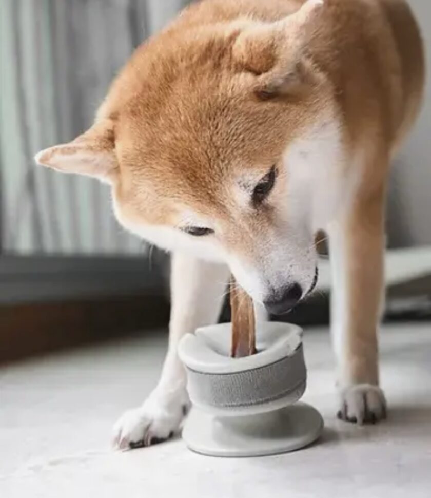 Support pour mastication