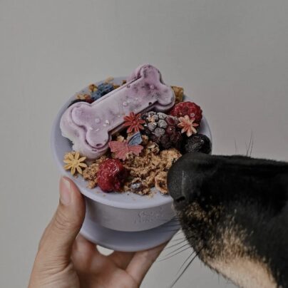 Bol de léchage Lila