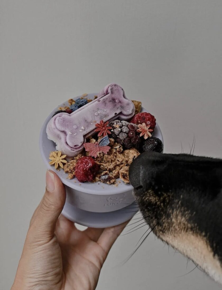 Bol de léchage Lila