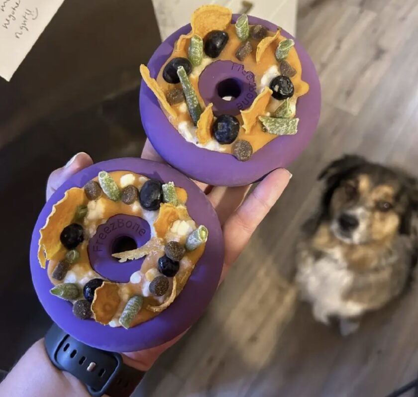 Freezebone ( 4 modèles disponibles)