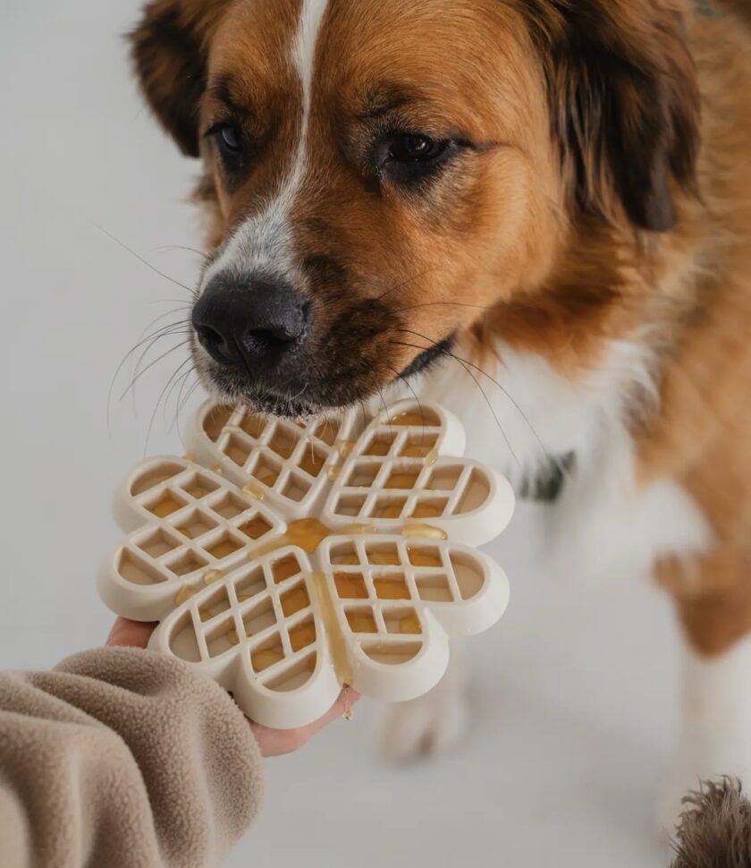Tapis de lèche gaufre
