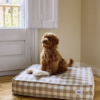 Lit pour chien Vichy Beige, Cuadra