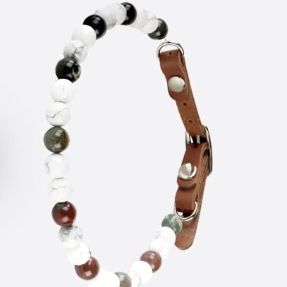 Collier pour chien agressif