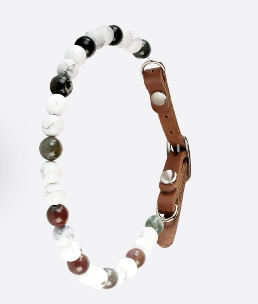 Collier pour chien agressif