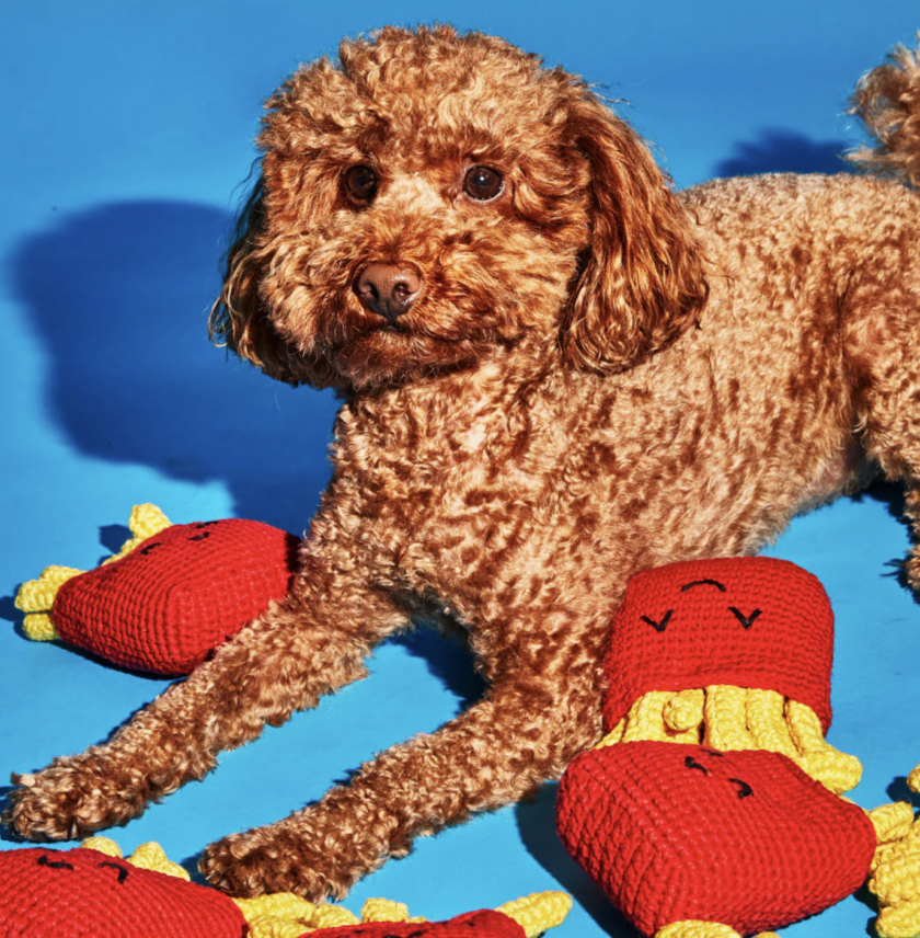 Capture d’écran 2026-04-15 à 13.27.30 The Fries