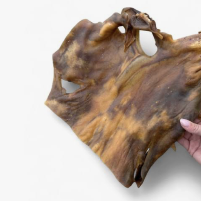 Capture d’écran 2026-04-16 à 13.38.58 Plaque de chameau