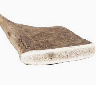 Bois de Daim – Mastication Naturelle Longue Duré