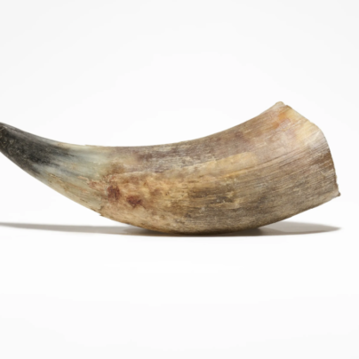 Corne de bœuf – Mastication longue durée pour chien