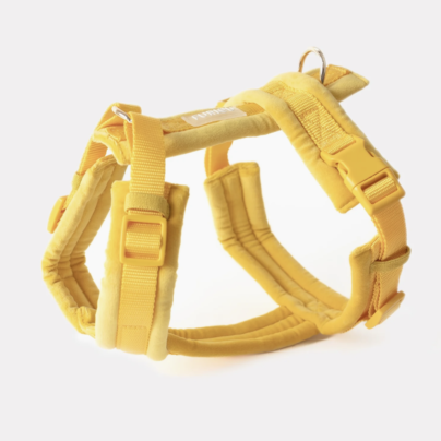 Harnais Furlou - Velvet yellow