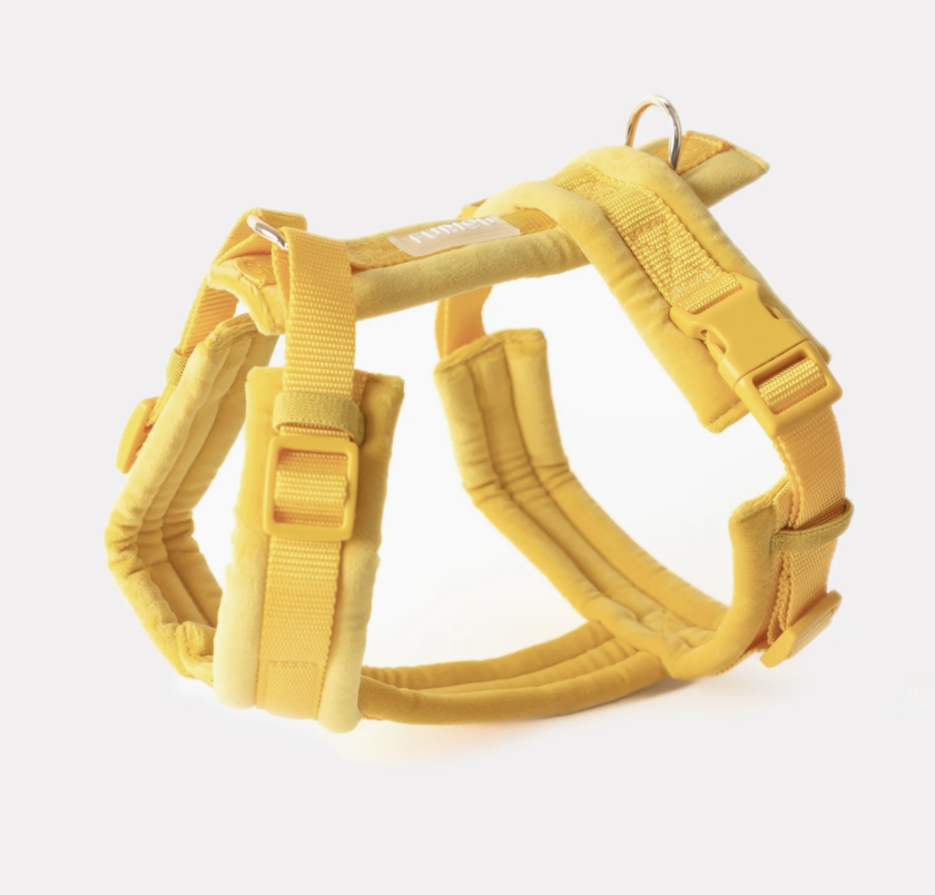 Harnais Furlou - Velvet yellow
