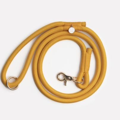 Laisse simple Yellow