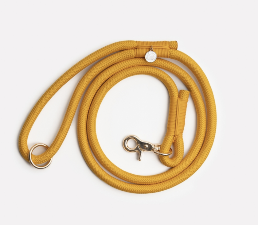 Laisse simple Yellow