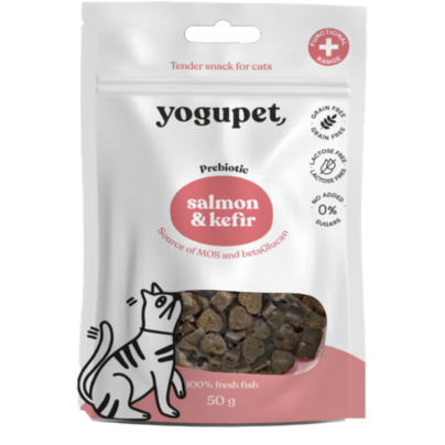 Snack salmon&kefir chat