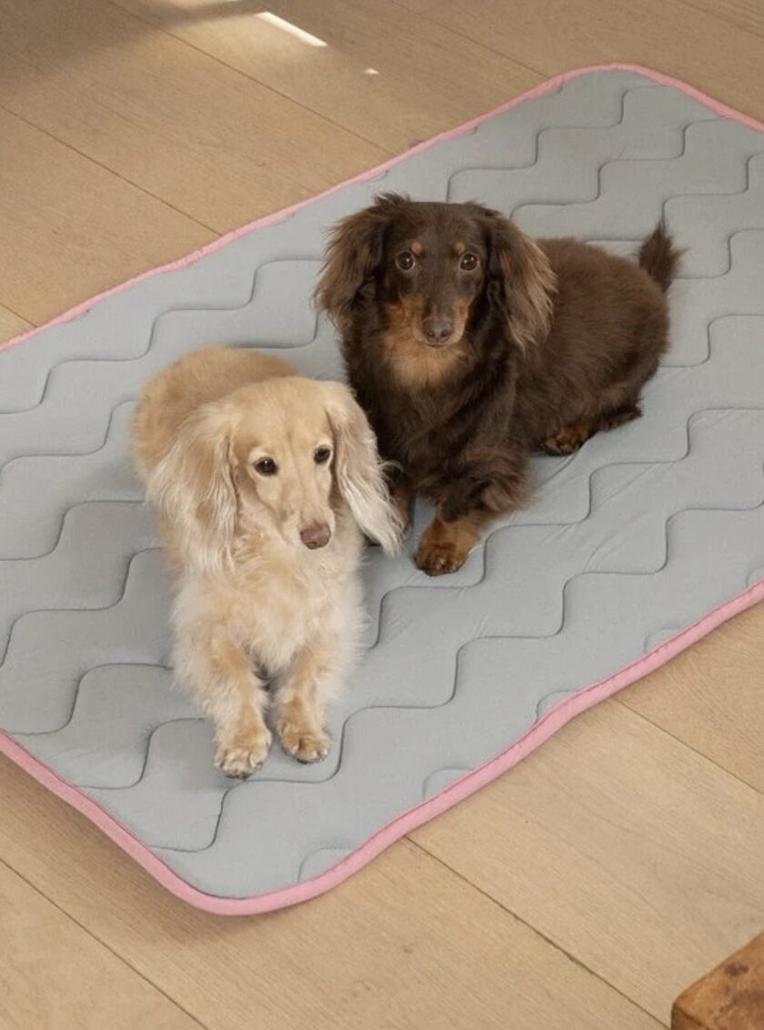 screenshot-713 Tapis rafraîchissant