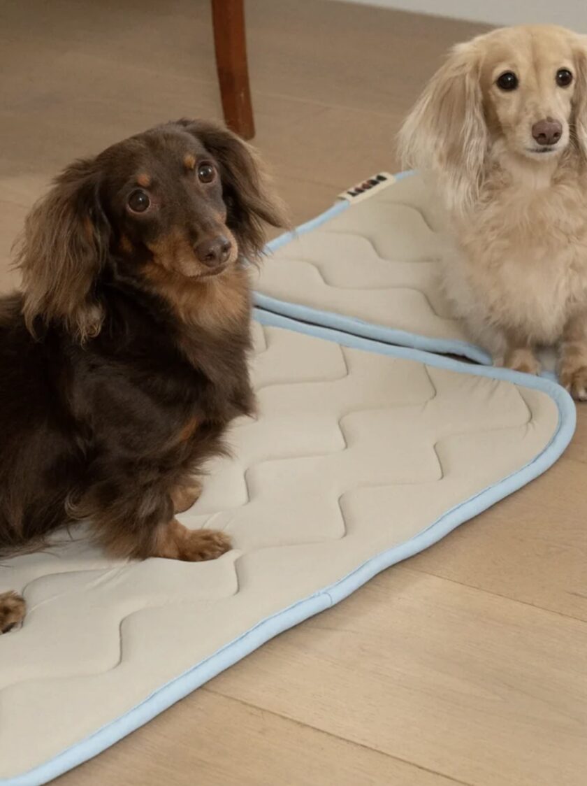 screenshot-714 Tapis rafraîchissant